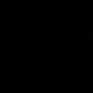 Meet your Posher, Lexie